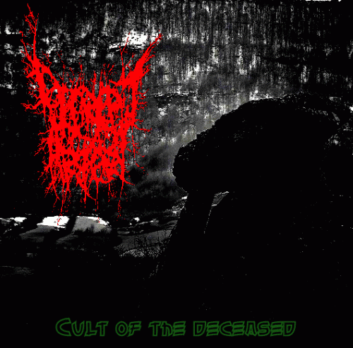 Decrepit Artery : Cult of the Deceased